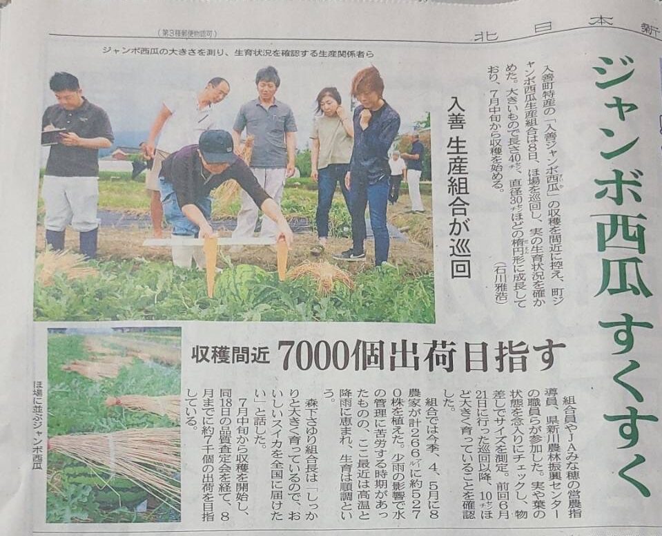北日本新聞にて】 - グリーン森下